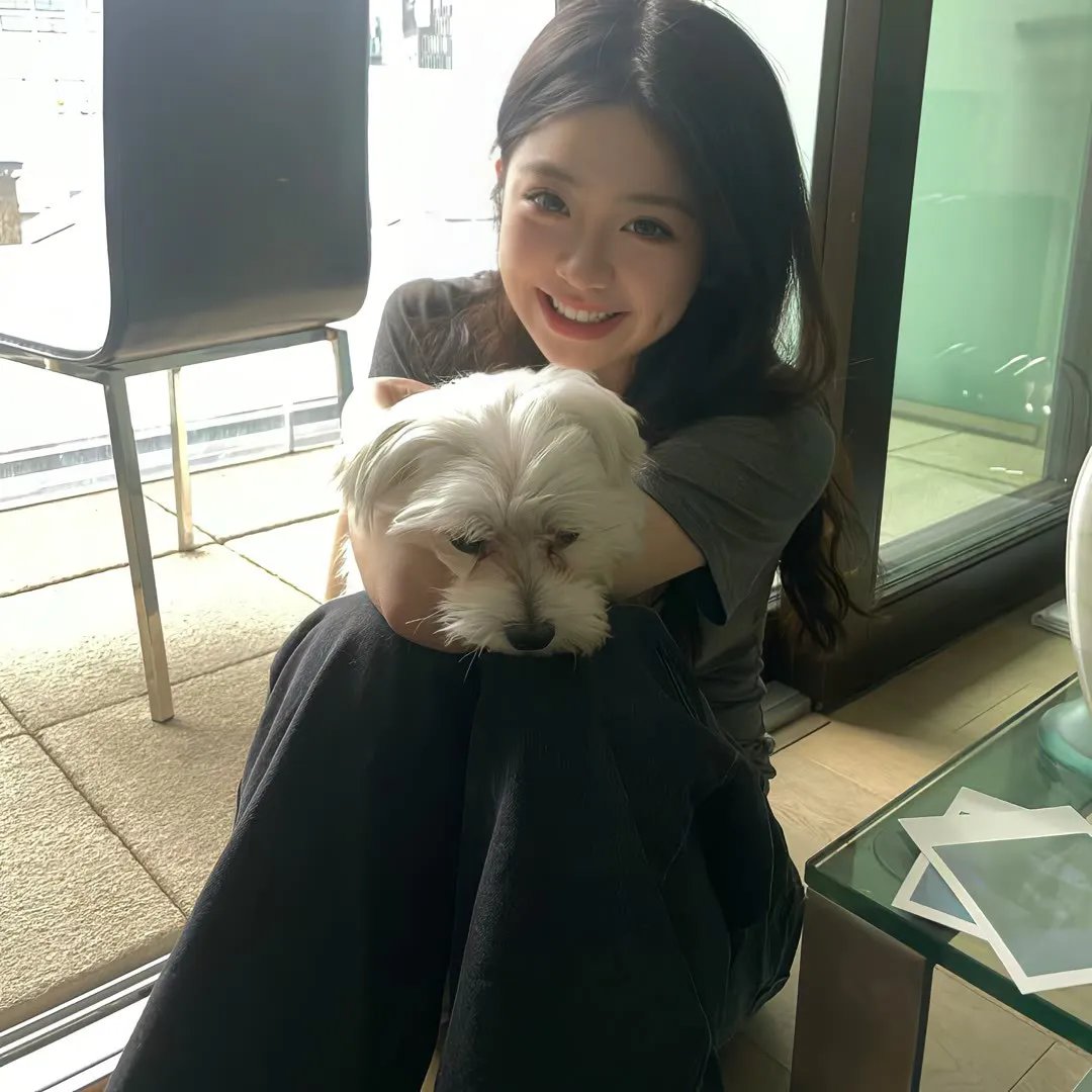 明月守护者